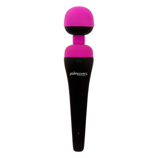 PalmPower Rechargeable Vibrator 14
