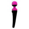 PalmPower Rechargeable Vibrator
