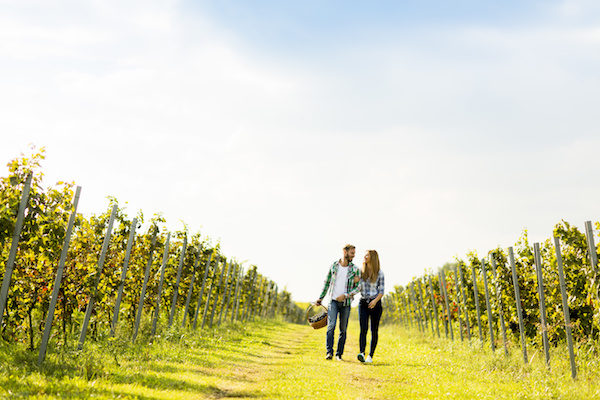 couple walking in a field