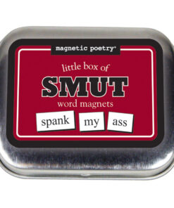 Little Box of Smut Word Magnets