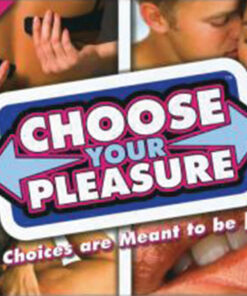 Alternative view of Choose Your Pleasure Game