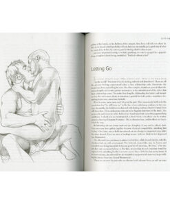 Alternative view of Joy of Gay Sex