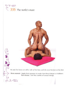 Alternative view of Kama Sutra 365