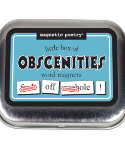 Little Box of Obscenities Word Magnets