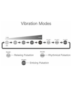 Alternative view of iroha+ KUSHI  Renewal