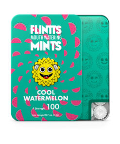Flintts Mints Cool Watermelon FS 100