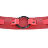 SS S&M Ex's & Oh's Bound and Belted - Image 3