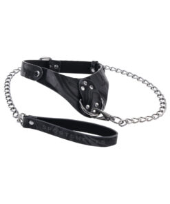 SS Velvet Noir Collar & Leash
