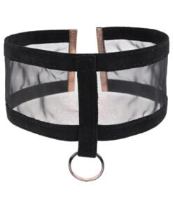 SS S&M Sheer Day Collar