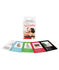 Santa's Secret Sex Positions Cards